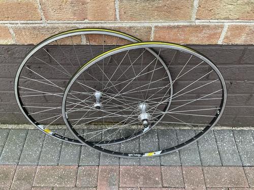Campagnolo omega strada hardox - campagnolo,