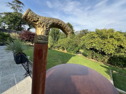 Wooden walking stick - walking, brass