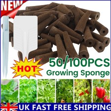 50/100Pcs Grow Sponges Kit 10