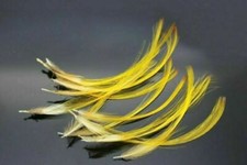 PACK OF 15 X GOLDEN PHEASANT
