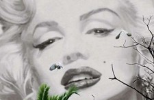 Photo wallpaper Marilyn á