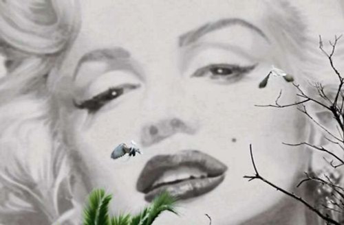Photo wallpaper marilyn - photo,