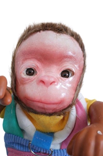 Newborn chimp - newborn,