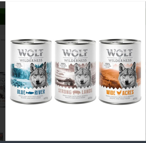 Wolf wilderness adult - wolf,