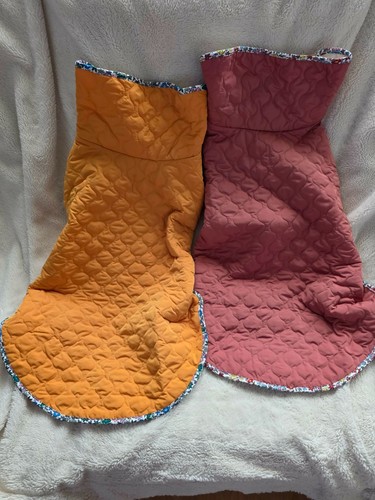 Set 2xl dog coat - set, of