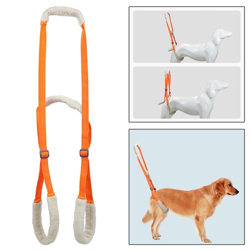 Dog lifting harness pets - dog,