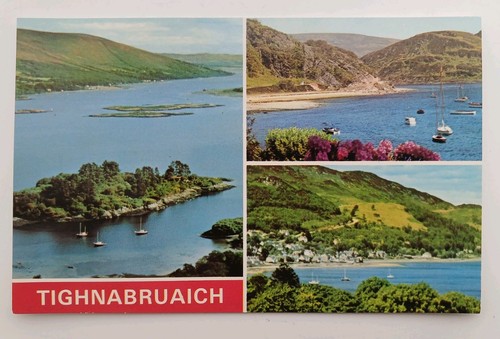 Vintage postcard - vintage,
