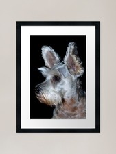 Sadie the Schnauzer Framed Art