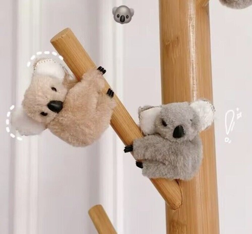 Cute koala bear animal - cute,
