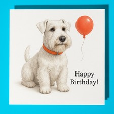 Sealyham Terrier dog Happy