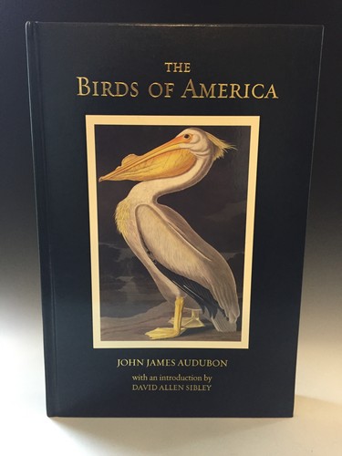 The birds america john - of,