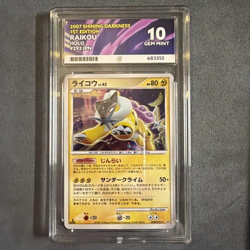 Raikou 293 shining darkness - raikou,