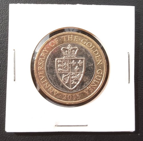 2013 golden guinea pound - £2,