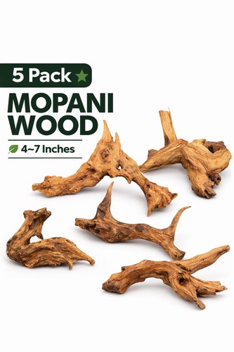 Pack mopani driftwood - 5,