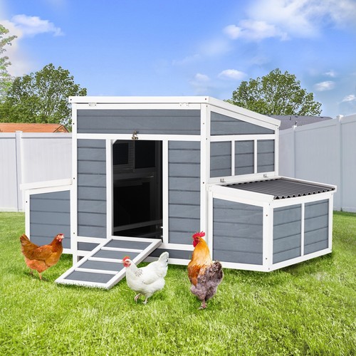 Wooden large chicken - large,