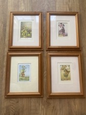 4 x CICELY MARY BARKER Flower