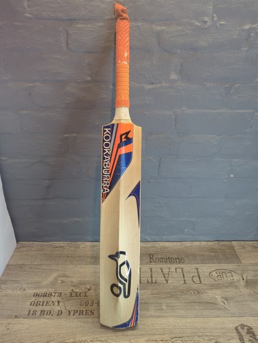 Kookaburra rogue 200 big - rogue,