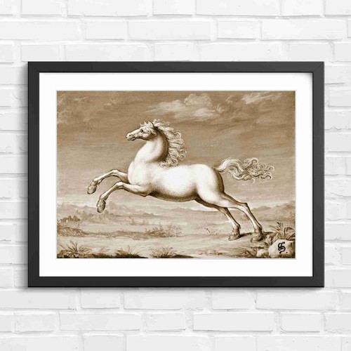 Rearing white classical horse - rearing,