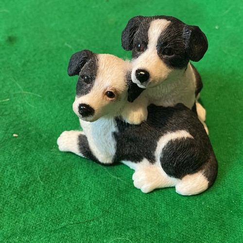 Border collie puppy pair cute - puppy,