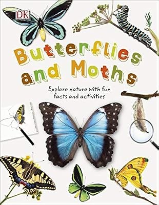 Butterflies and moths - and, moths: