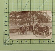 Riding The New Horse And Cart