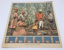 Macmillan 1930's British Educational Poster,"14. Cutting Sugar Canes in Jamaica"