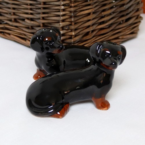 Dachshund salt and - dachshund,