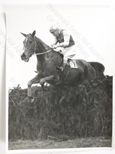 Horse Racing Steeplechase