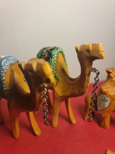 Vintage holy land camel - land,