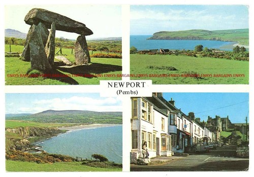 Newport pembrokeshire wales - newport,,