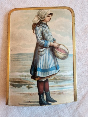Antique victorian synoptic - victorian,