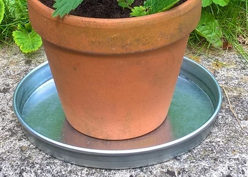 Plant pot metal saucer - metal,