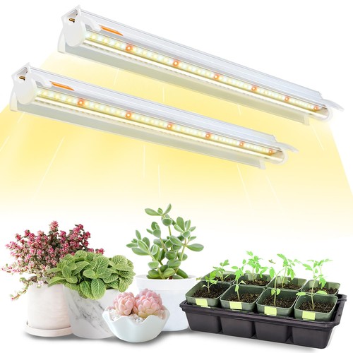 Grow lights for - grow, starting