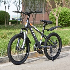 20 Inch Wheel Bike Grey Kids Boys Single Peed Bike Disc Break Bicycle Cycle NEW