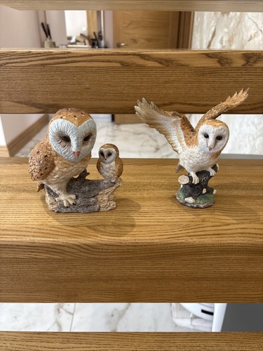 Vintage owls collection - vintage,