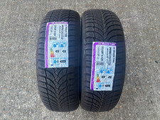2x Nexen WinGuard Snow'G WH2