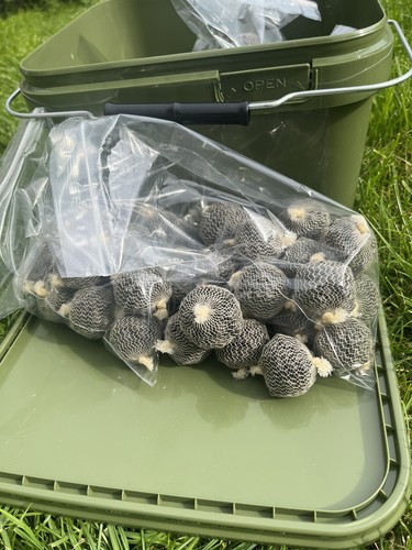 Special offer halibut ultramix - special,