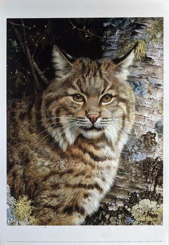 Carl brenders forest - brenders,