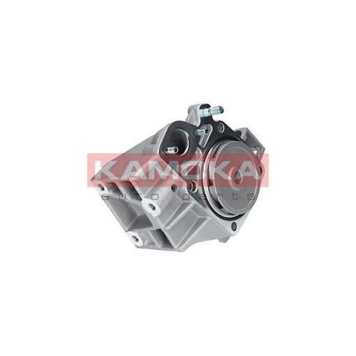 T0098 kamoka water pump - kamoka,