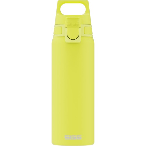 Sigg stainless steel water - steel,