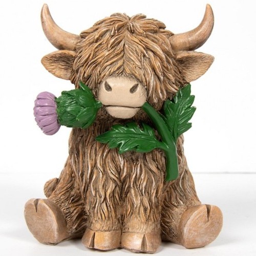 Lesser pavey highland cow - lesser, &