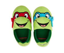 Teenage Mutant Ninja Turtles