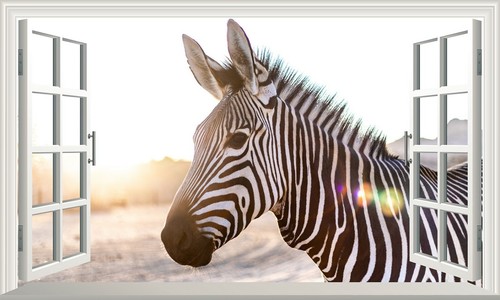 Zebra magic window wall - zebra,