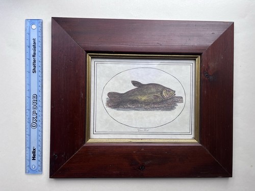 Thomas bewick framed art - thomas,