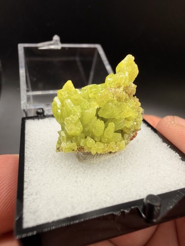 Electric apple green - apple,