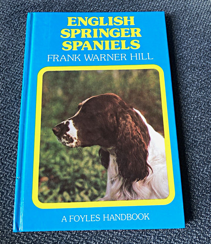 Vintage english springer - vintage,