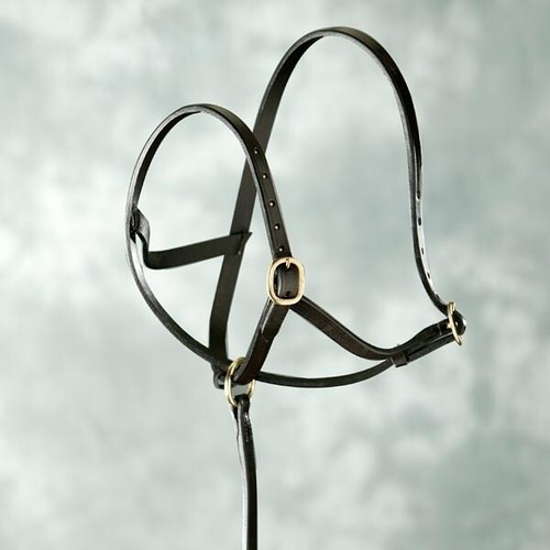 English leather foal - leather,