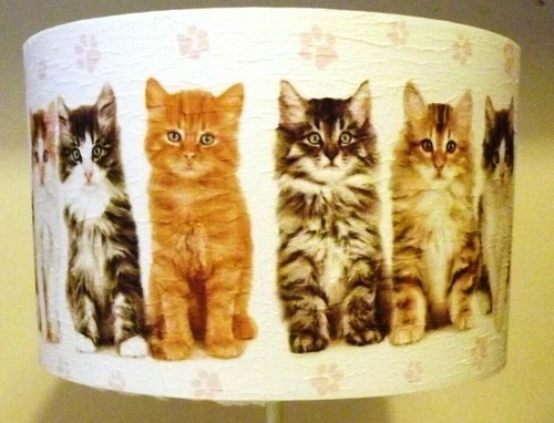 Kittens lampshade light shade - lampshade,light,