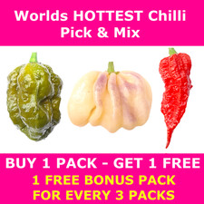 Worlds HOTTEST Chilli Seeds -