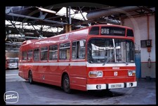 Bus Slide WITHOUT COPYRIGHT